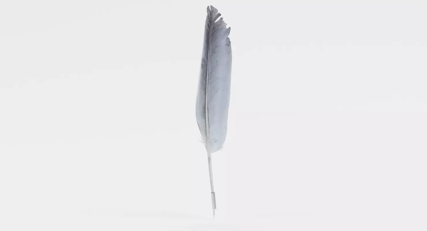 Quill - Traditional Feather Ink Pen with Writing Nib 3D model