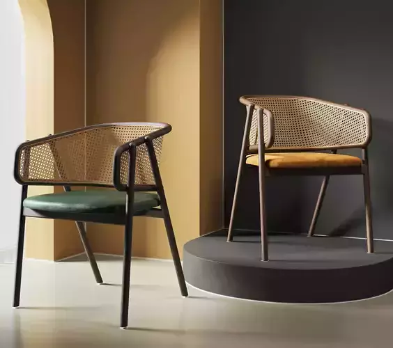 Contemporary Minimalist Dining Chairs