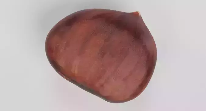 Sweet Chestnut - Edible Brown Nut 3D model 7