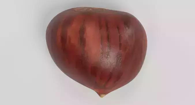 Sweet Chestnut - Edible Brown Nut 3D model