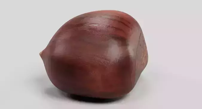 Sweet Chestnut - Edible Brown Nut 3D model 6