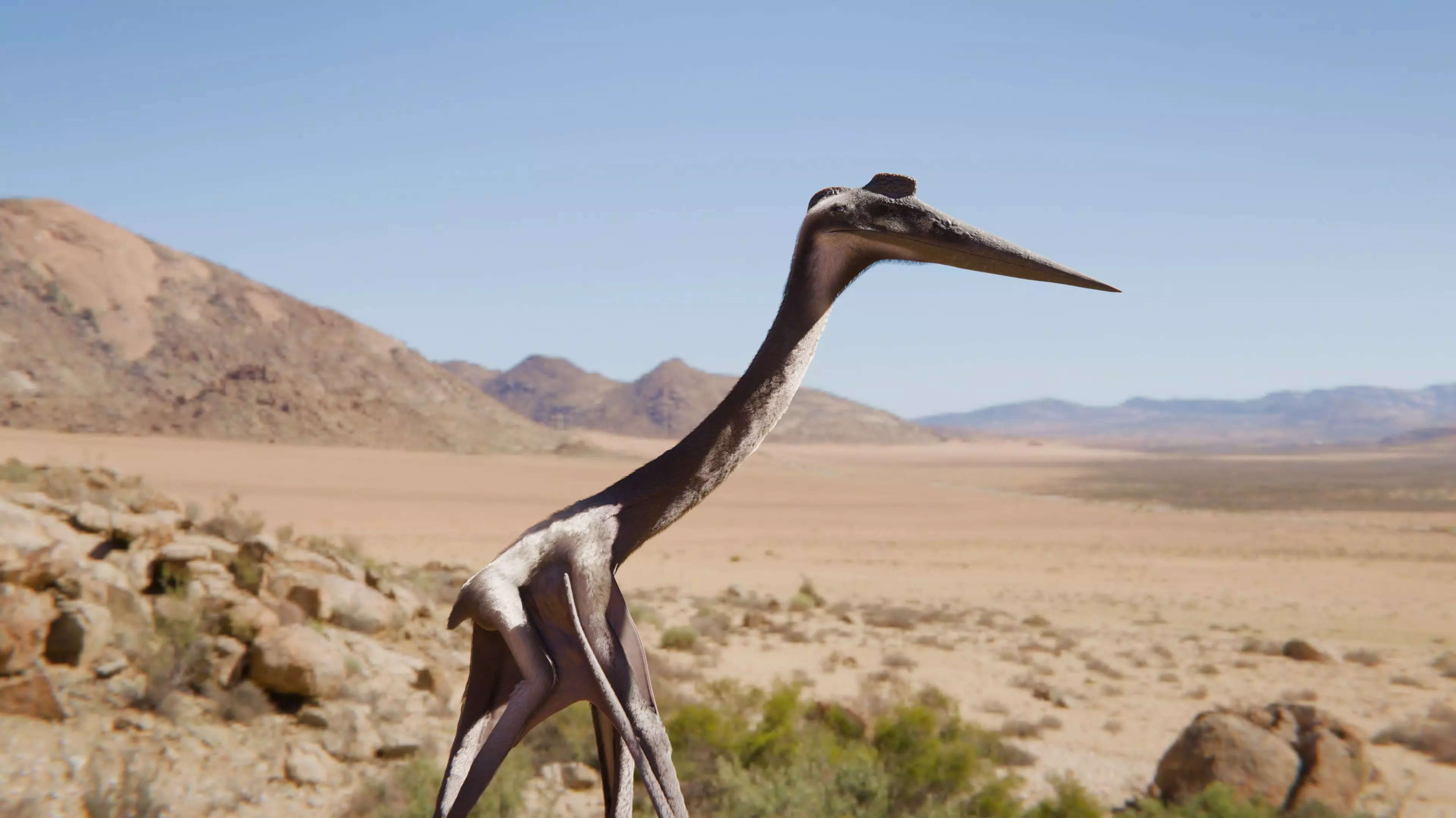 Quetzalcoatlus Rigged 3D Model 3D model
