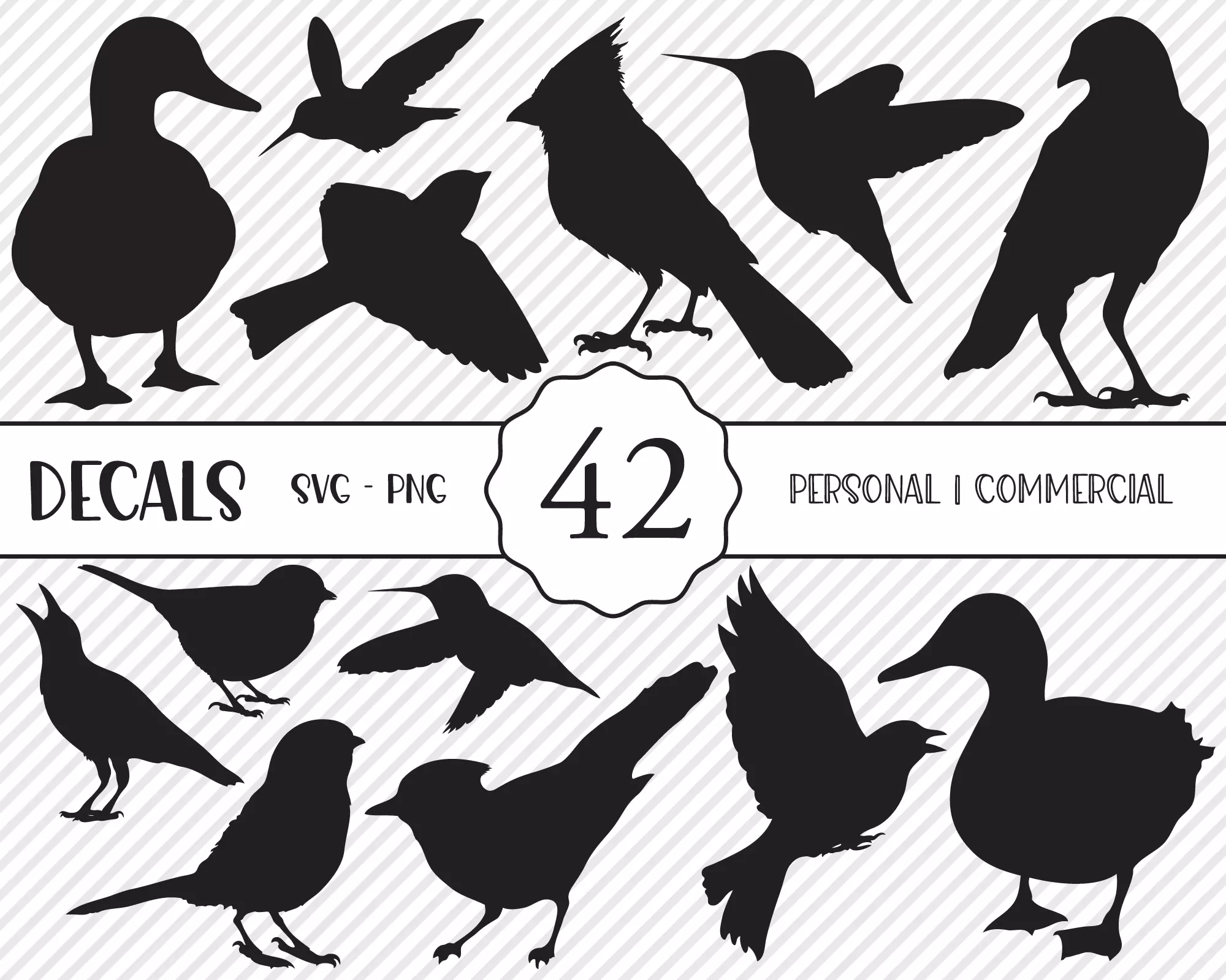 42 Wildlife Bird Decals Texture
