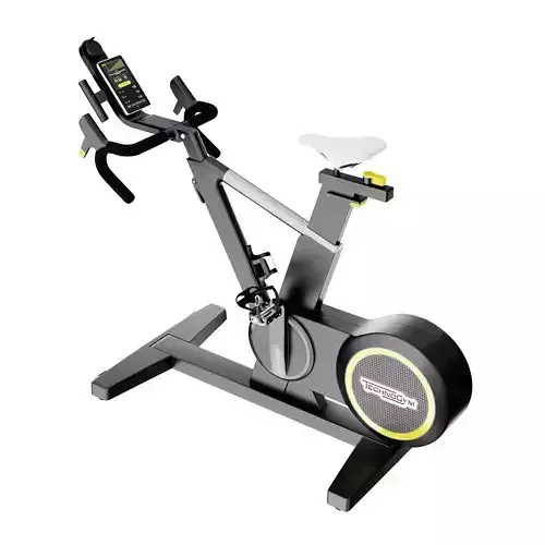 Technogym Skillbike