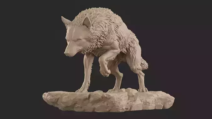 Wolf 06