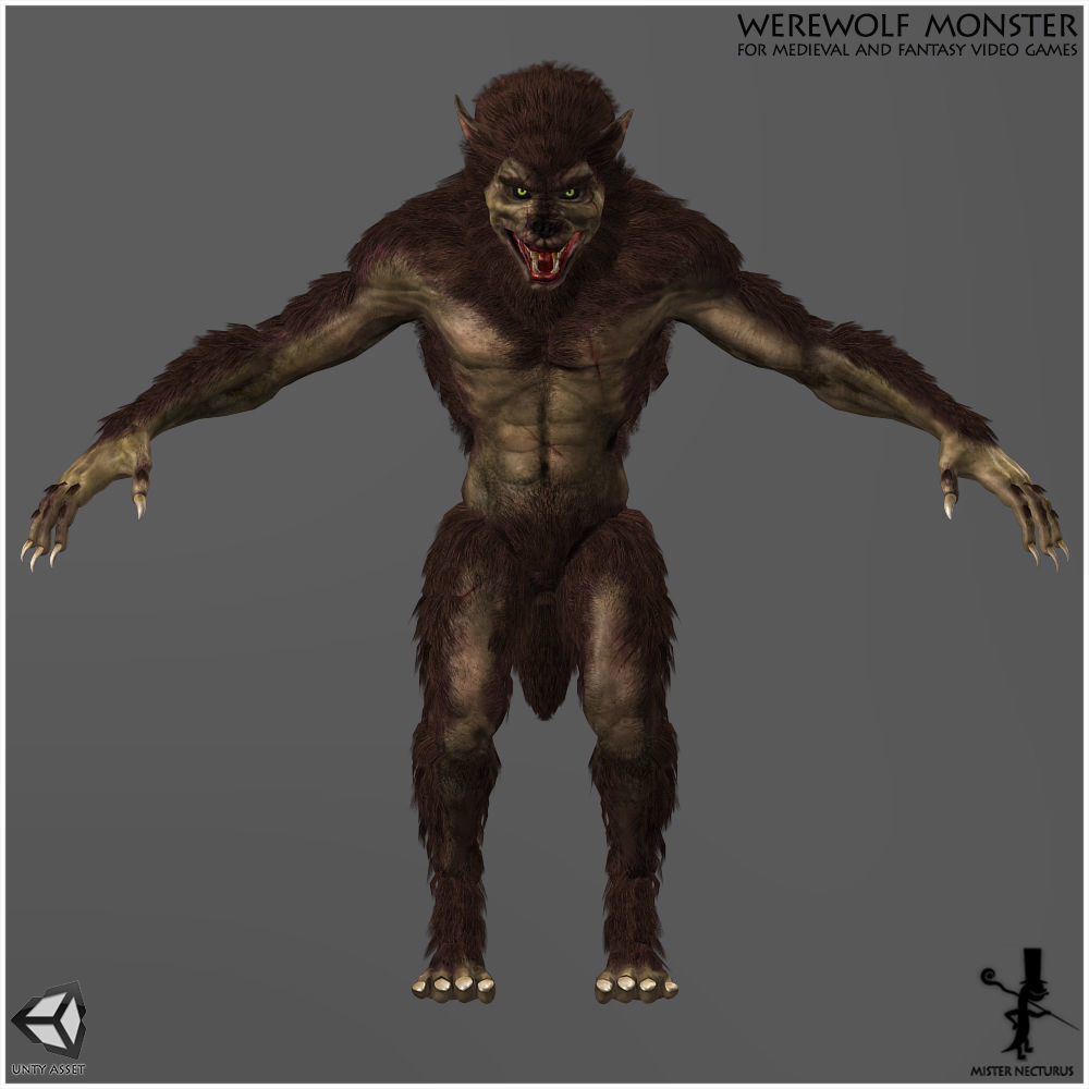Animated Werewolf Low-poly 3D model_8