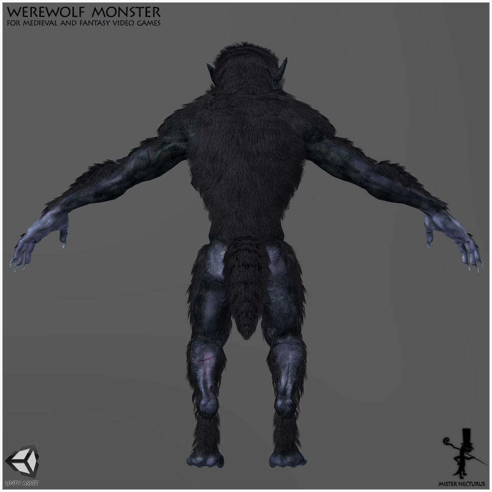 Animated Werewolf Low-poly 3D model_4