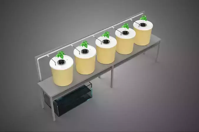 DUTCH BUCKET SYSTEM 5 POT RECIRCULATING HYDROPONICS SETUP PLANT