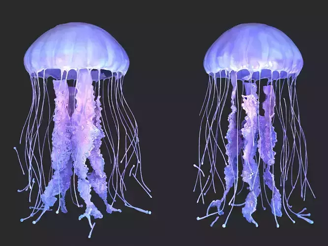 glowing jellyfish