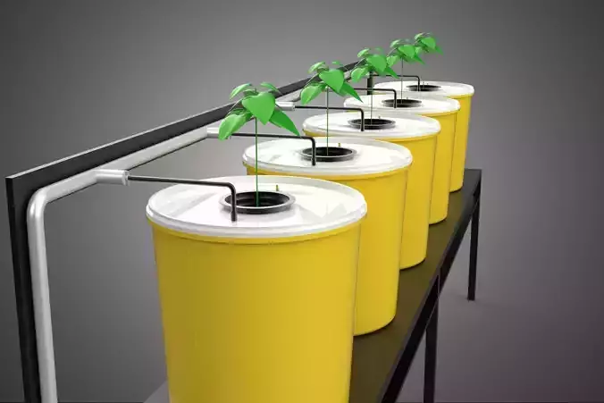 INDOOR HYDROPONIC SEEDLING PLANT PROPAGATION SYSTEM BATO FARM