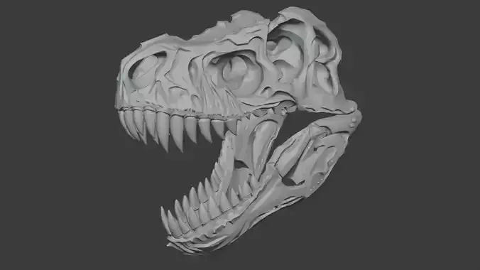 Tyrannosaurus Rex Skull 3D Model 