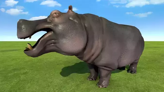 Hippopotamus rigged animated Low-poly 3D model