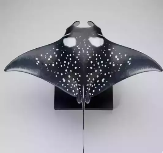 Manta Ray Sculpture