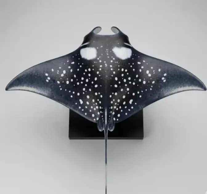 Manta Ray Sculpture 3D print model