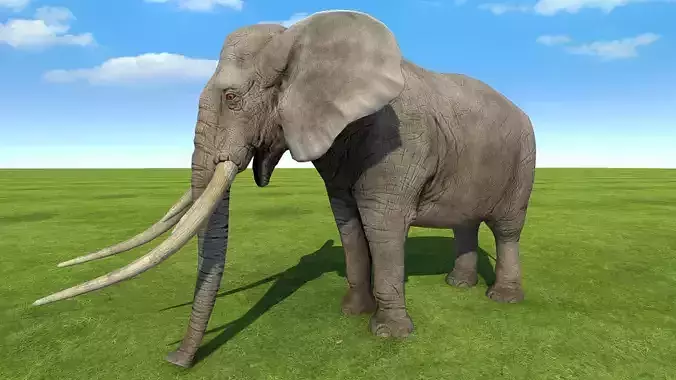 Elephant rigged animated 