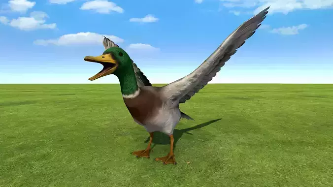 Duck rigged animated 