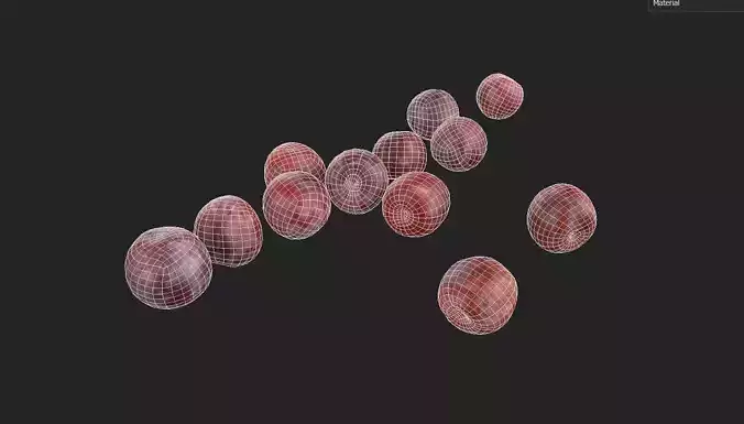 Plum Set 07 Low-poly 3D model 7