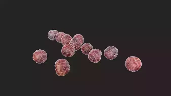 Plum Set 07 Low-poly 3D model 2