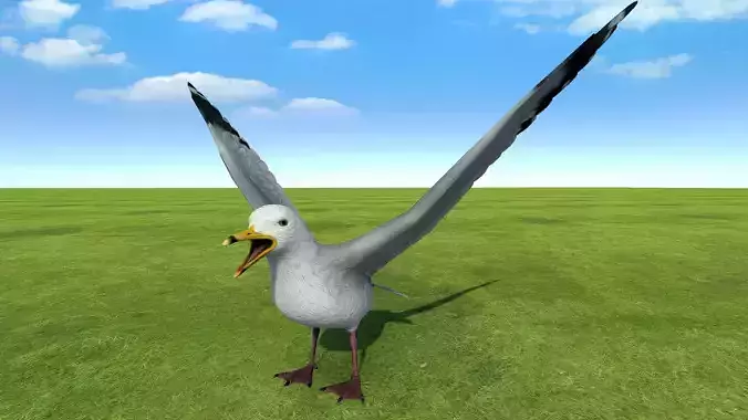 Seagull rigged animated 