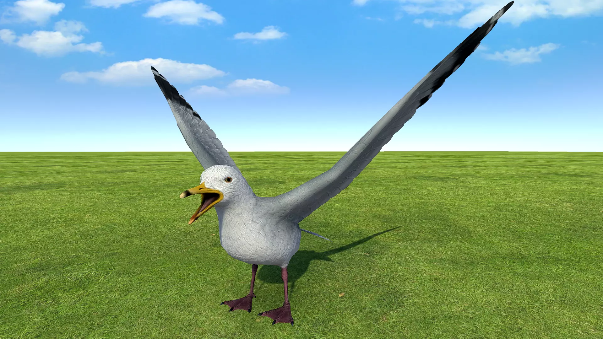 Seagull rigged animated Low-poly 3D model