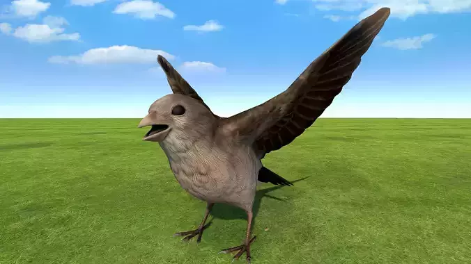 Sparrow rigged animated 