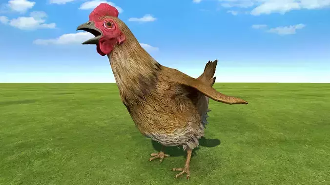 Chicken rigged animated 