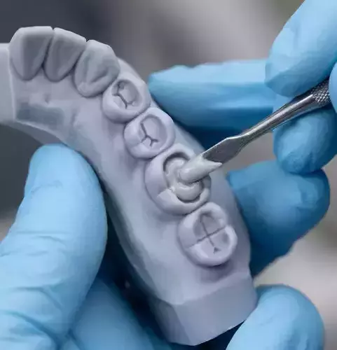 Occlusal Restoration Training Models  Upper and Lower