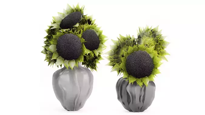 Beautiful Bouquet Of Green And Black Sunflowers vase decor 3D model