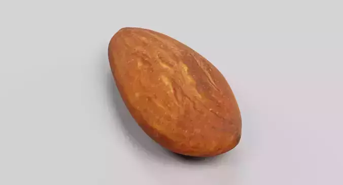 Almond - Natural Shelled Nut 3D model 4