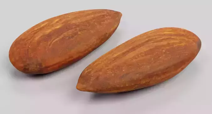Almond - Natural Shelled Nut 3D model 6
