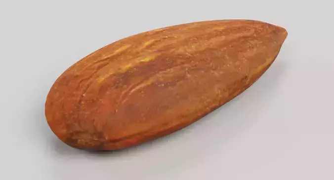 Almond - Natural Shelled Nut 3D model 3