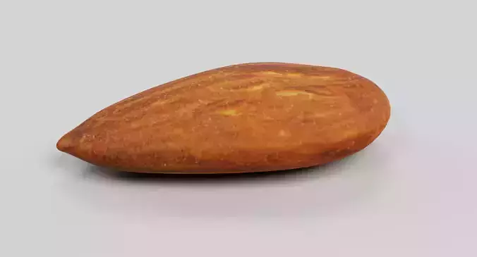 Almond - Natural Shelled Nut 3D model 5