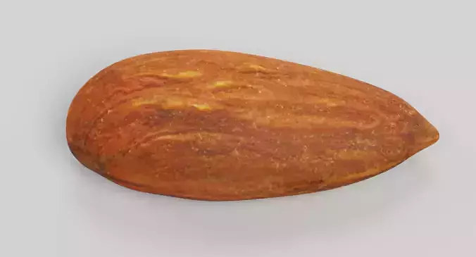 Almond - Natural Shelled Nut 3D model 2