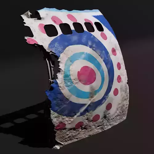 The Plane Crashed On The Beach