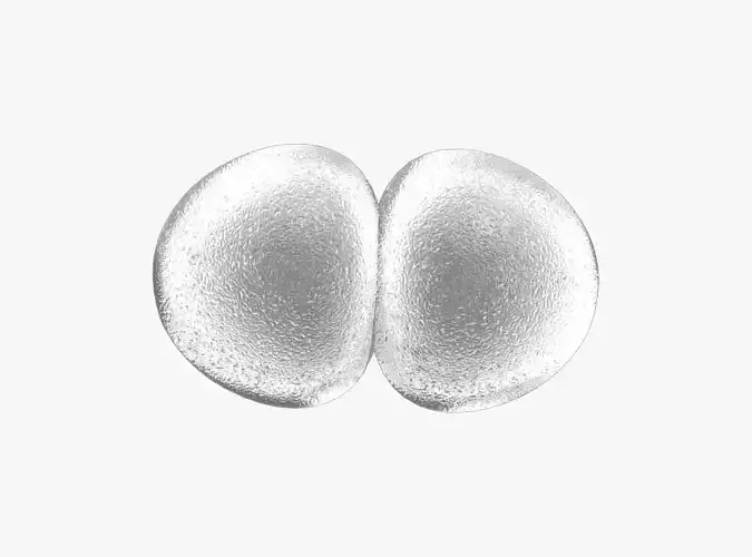 Streptococcus Pneumoniae Bacteria