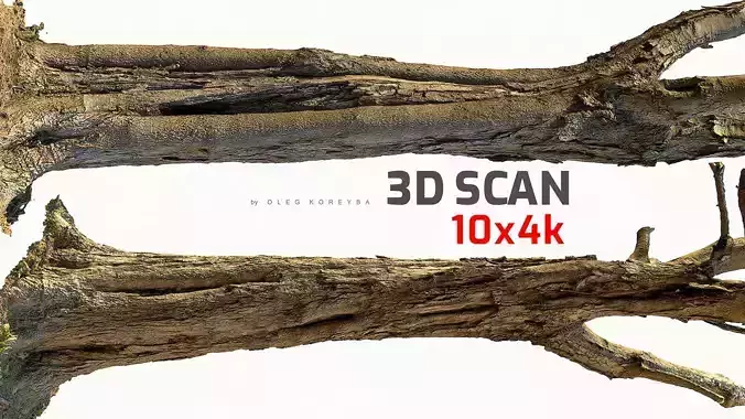 Tamarisk Tree 3D Scan 10x4k Textures ULTRA HQ Blender Maya 