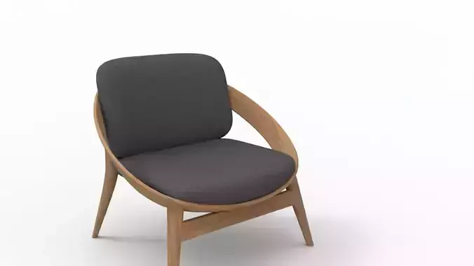Ultra-Modern Curved Lounge Chair 