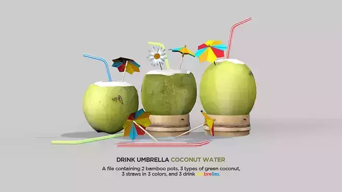 Drink Umbrella Coconut Water 3D Model