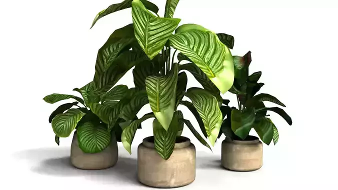 Decorative Flower Vase with Flowers Interior Decor 3D Model