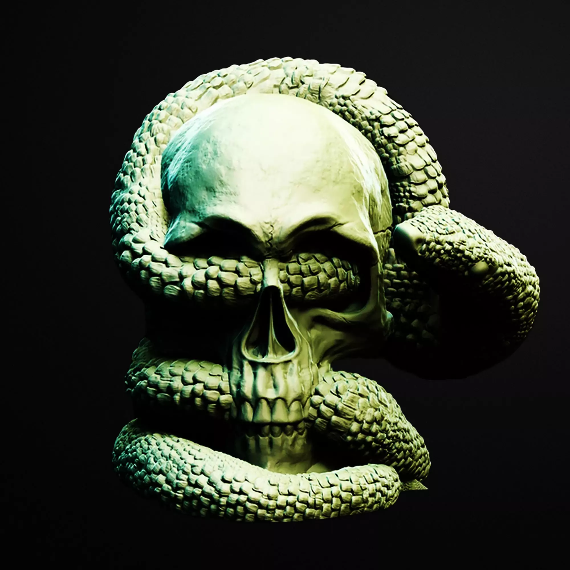 Snake Skull Jar 3D Printable Stl File 3D print model