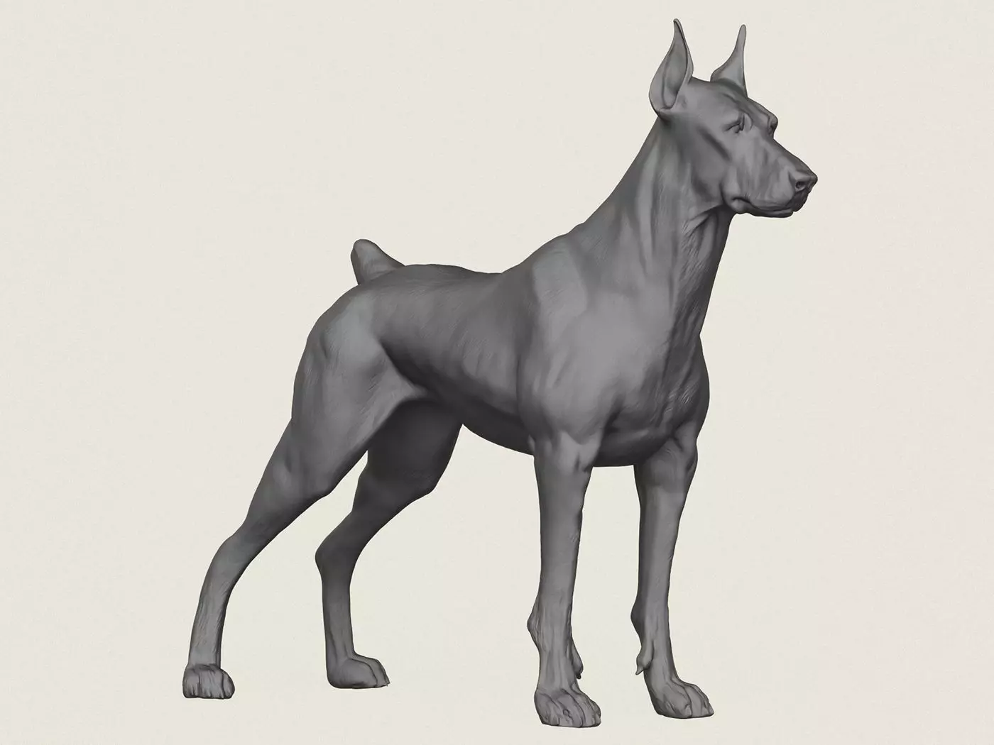 Doberman Dog 3D print model