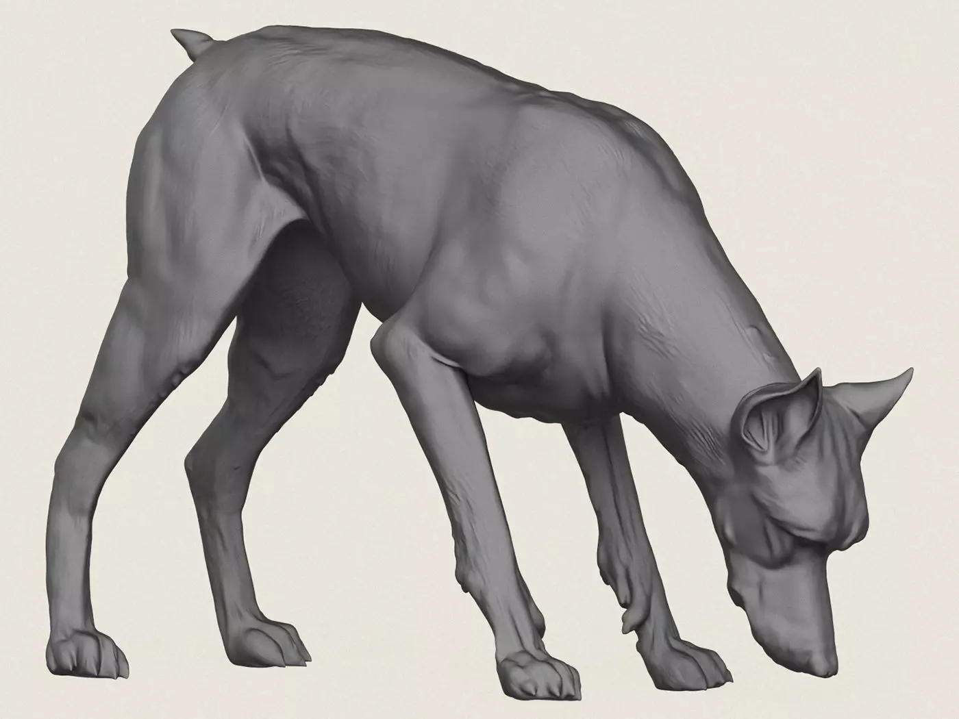 Doberman Dog Eating 3D print model