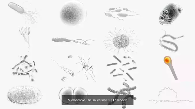 Microscopic Life Collection 01