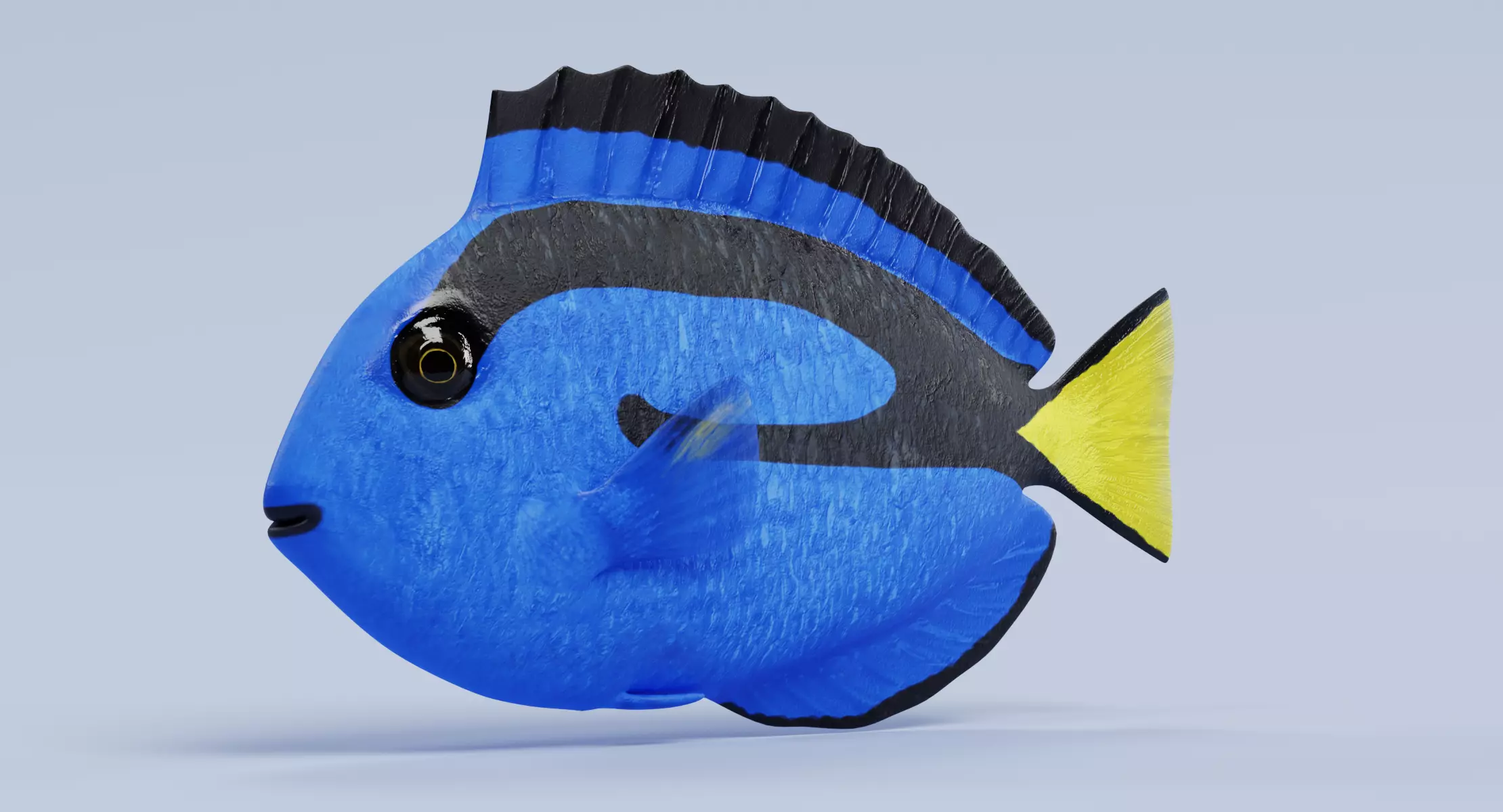 Tropical Fish - Blue Tang 3D model