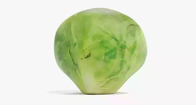 -Brussels Sprout V1-