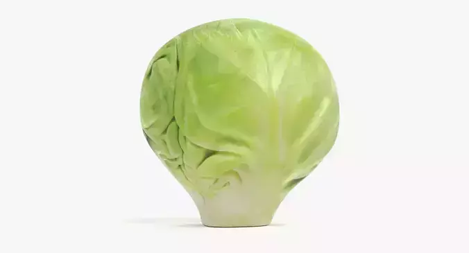 -Brussels Sprout V2-