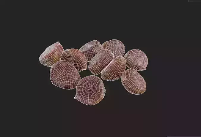 Chestnut Set 01 Low-poly 3D model 2