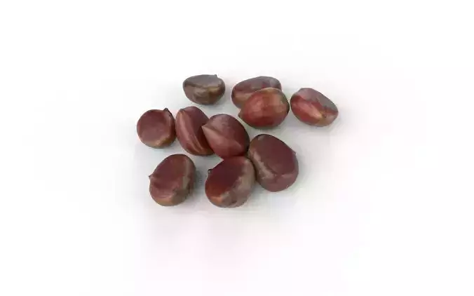 Chestnut Set 01 Low-poly 3D model 5