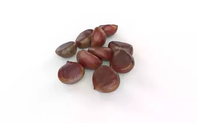 Chestnut Set 01 Low-poly 3D model 4