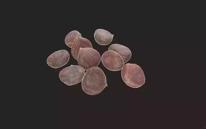 Chestnut Set 01 Low-poly 3D model 7